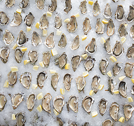 clams in ice