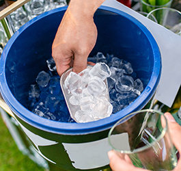 scooping ice out of a bucket